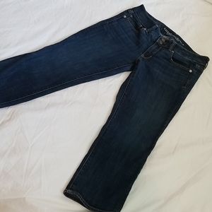 American Eagle Artist Crop Stretch size 8